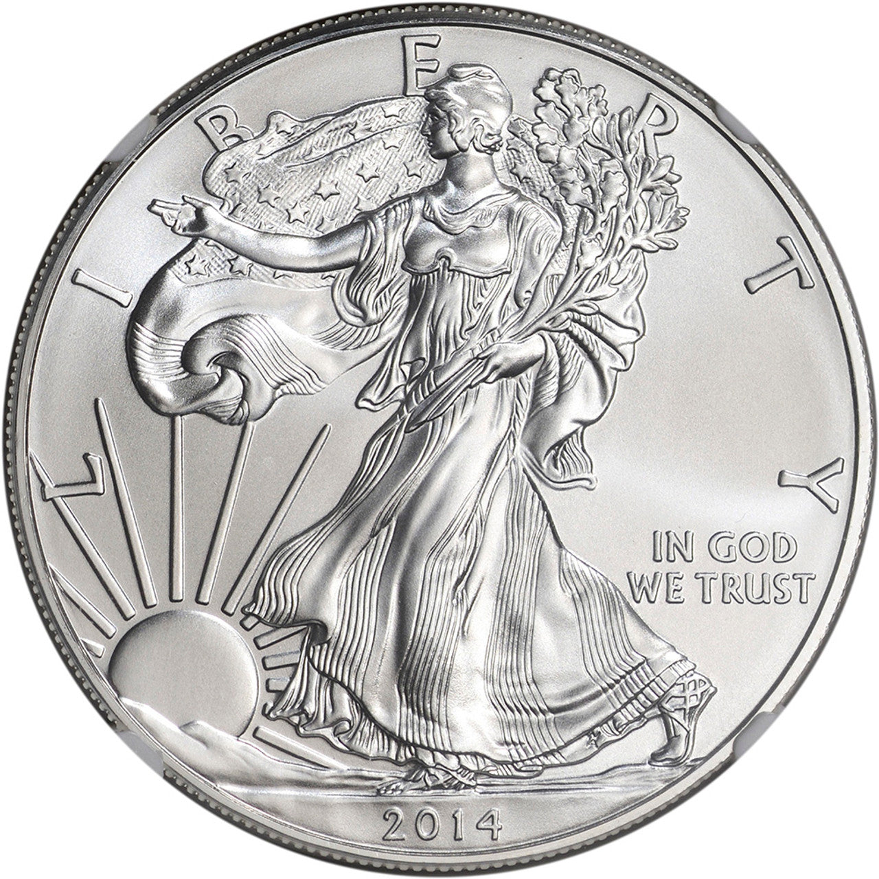 2014 American Silver Eagle